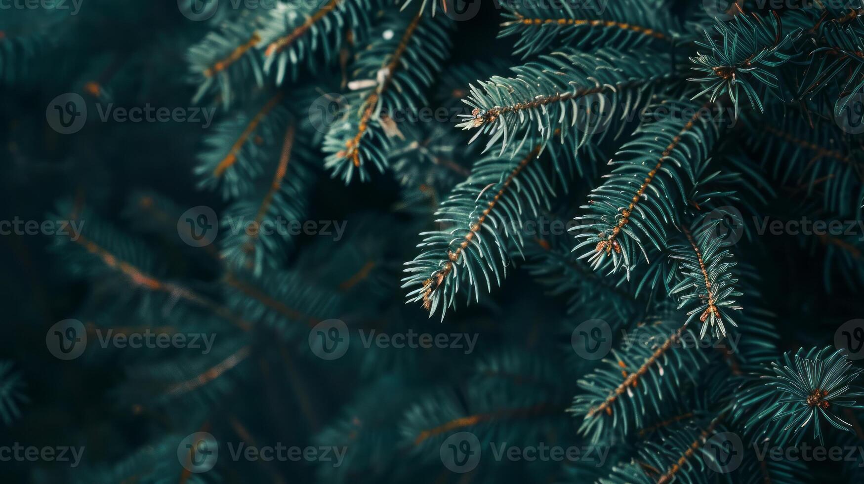 Beautiful Christmas Background with green fir tree brunch close up. Copy space, trendy moody dark toned design for seasonal quotes. photo