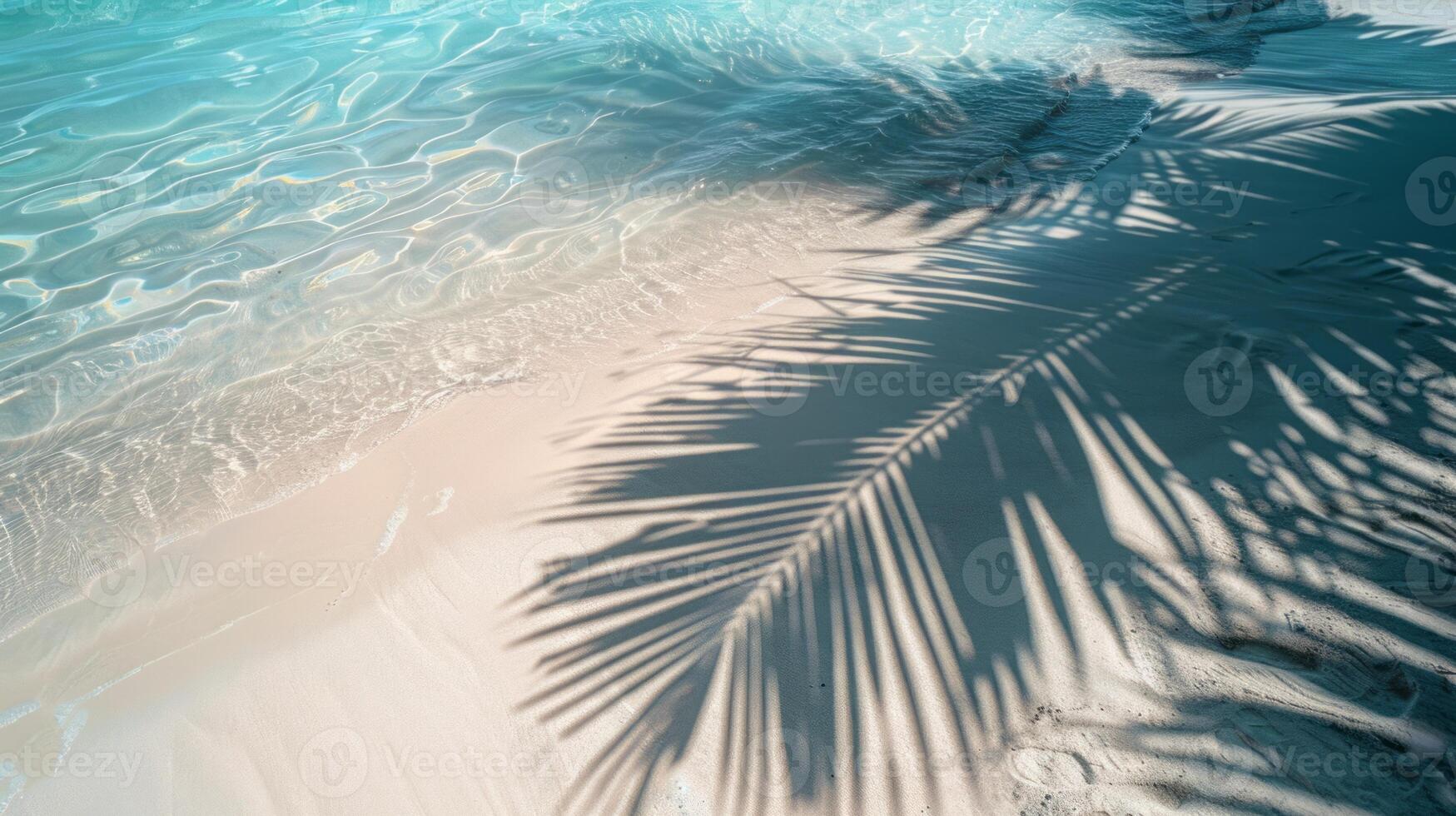 Top View Of Tropical Leaf Shadow On Water Surface. Shadow Of Palm Leaves On White Sand Beach. photo
