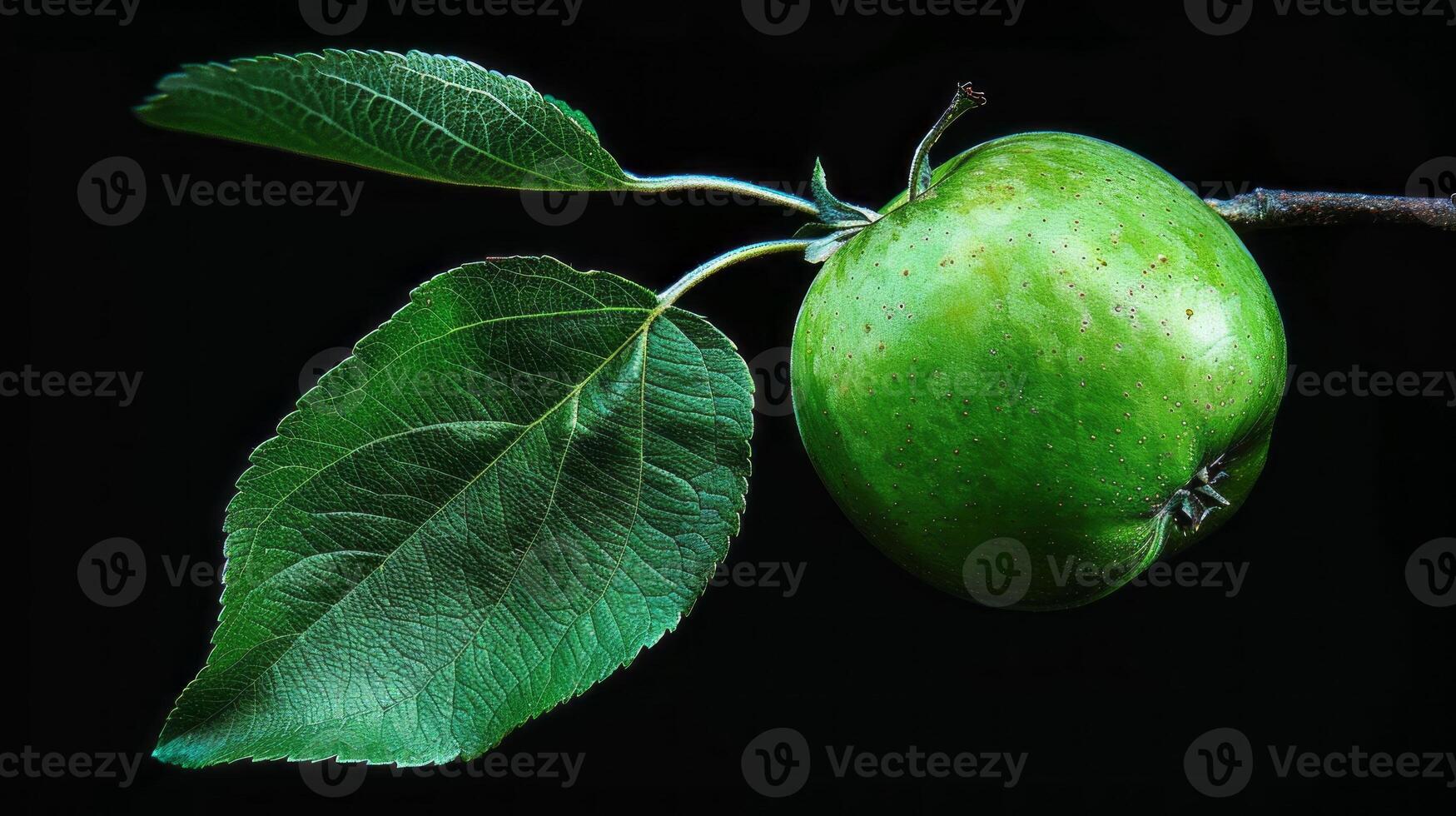 green leaf apple fruit. photo