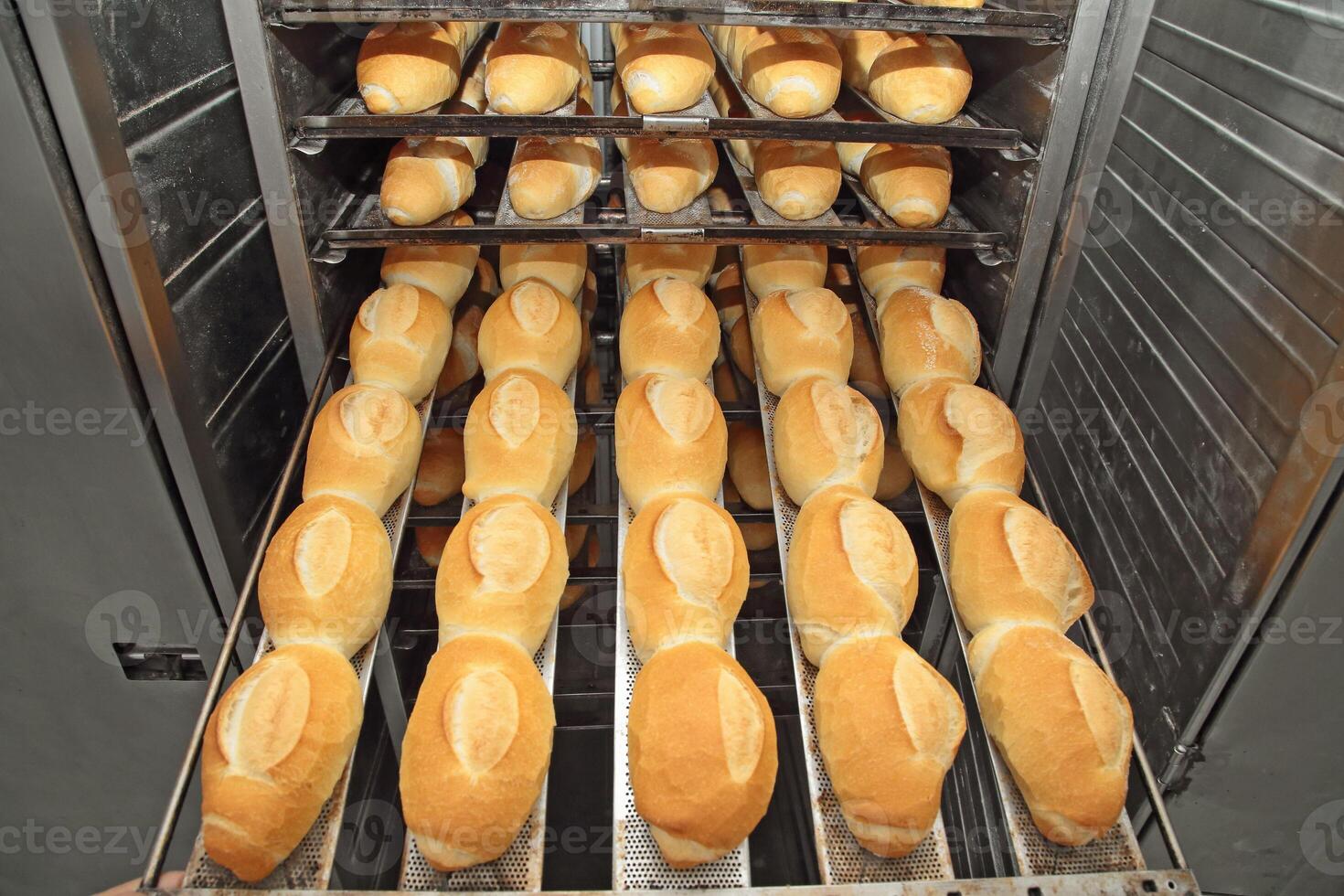 delicious French breads coming out of the oven photo