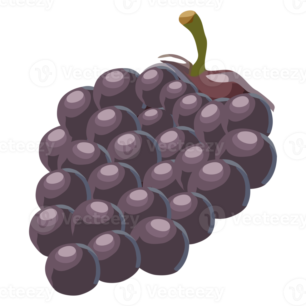 A bunch of purple grapes png