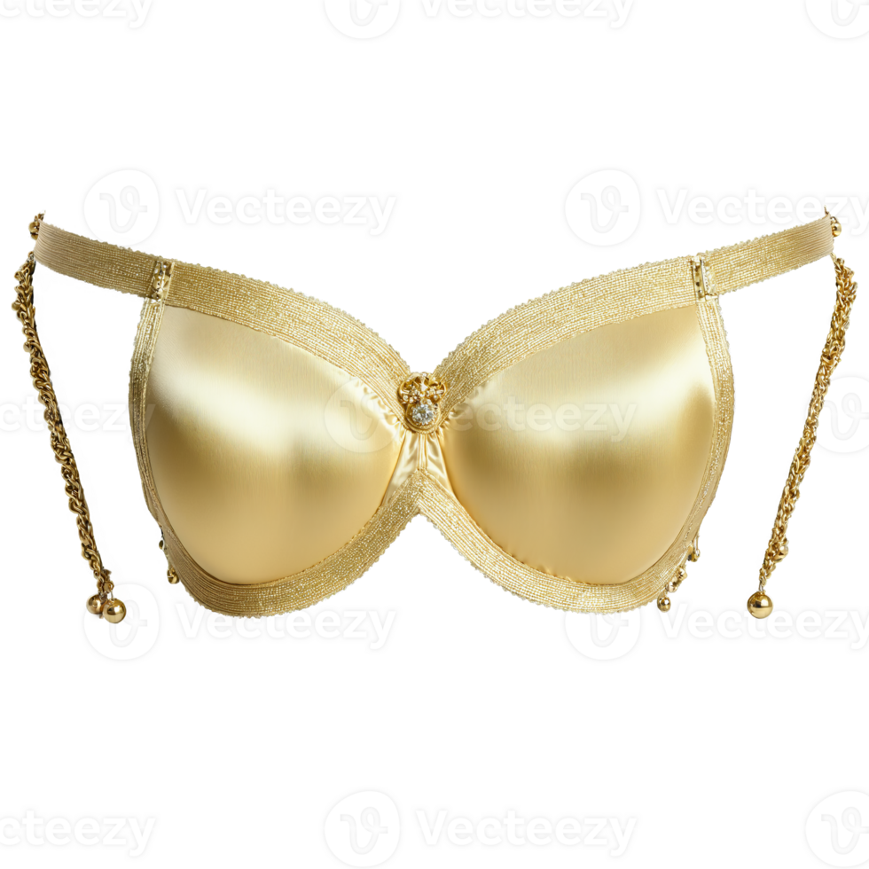 Luxurious Champagne Silk Bra A luxurious champagne silk bra with a rich lustrous texture adorned png