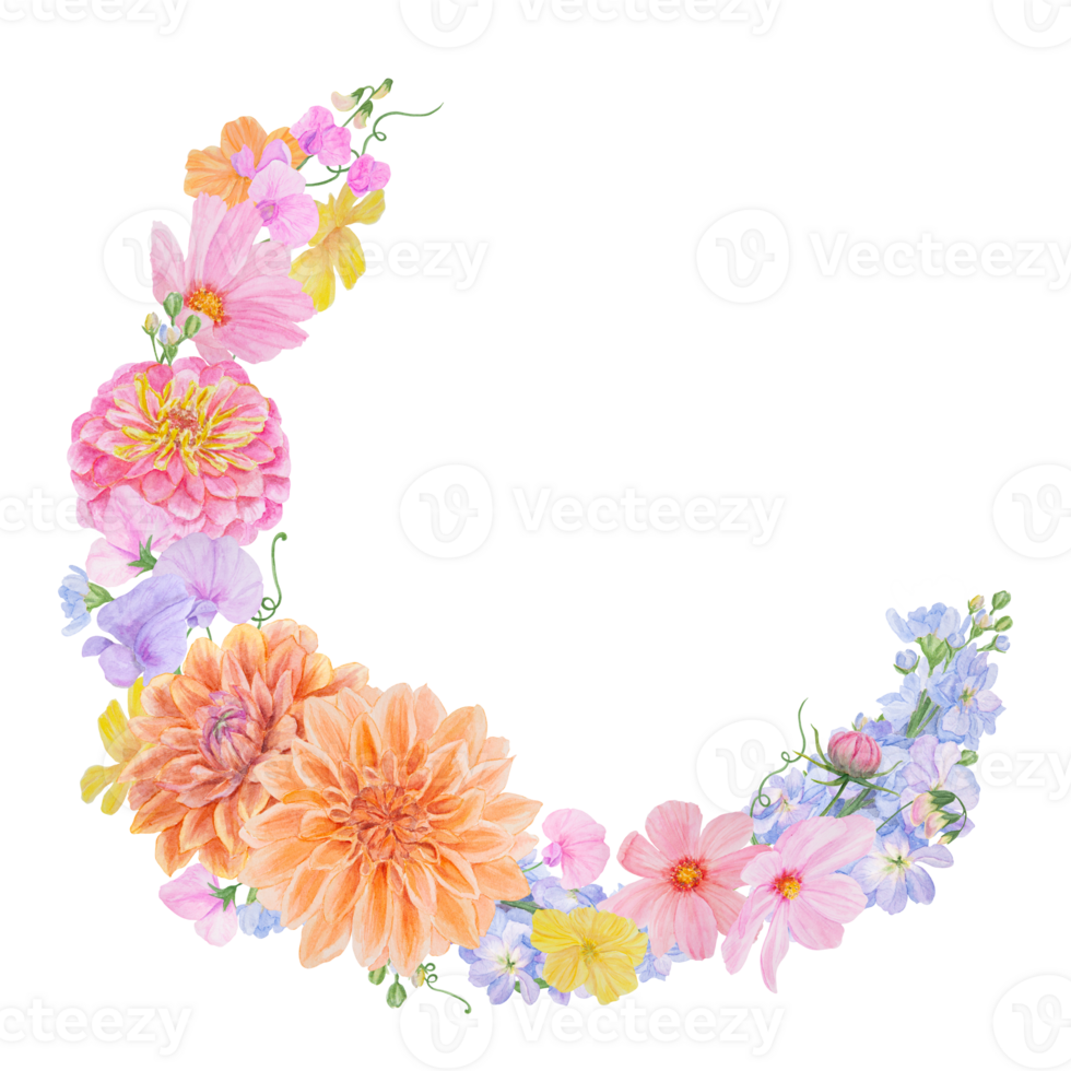 Watercolor botanical colourful round frame of summer and autumn flowers. dahlia, zinnia, lathyrus, gillyflower, nasturtium, cosmos. Good for wedding print products, paper, invitations, greetings png