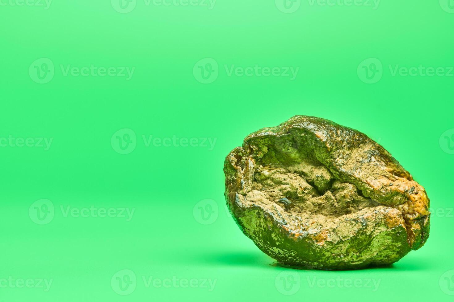 Rotten lemon, green background photo