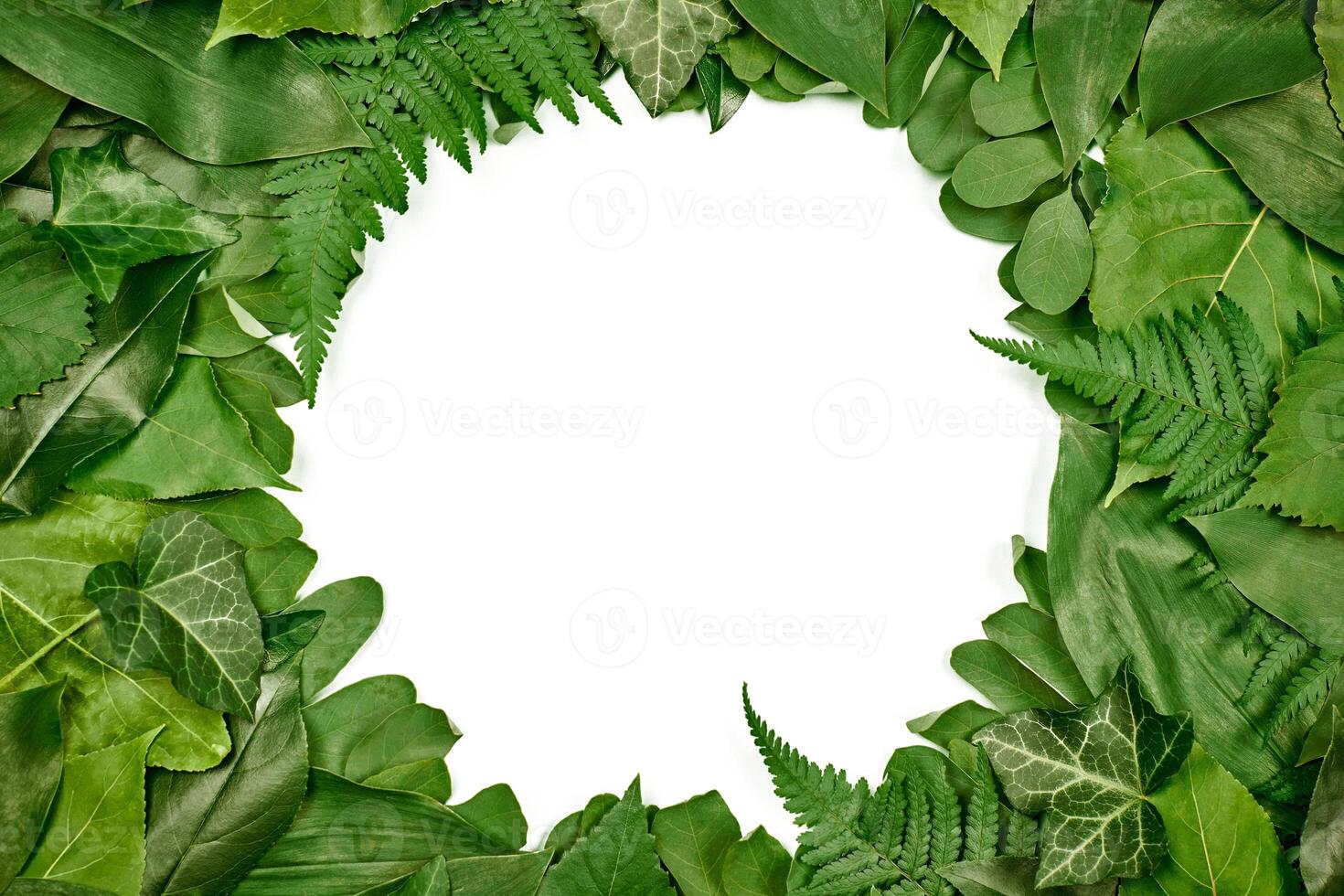 Green leaves circle frame with white empty copy space in center, flat lay top view photo