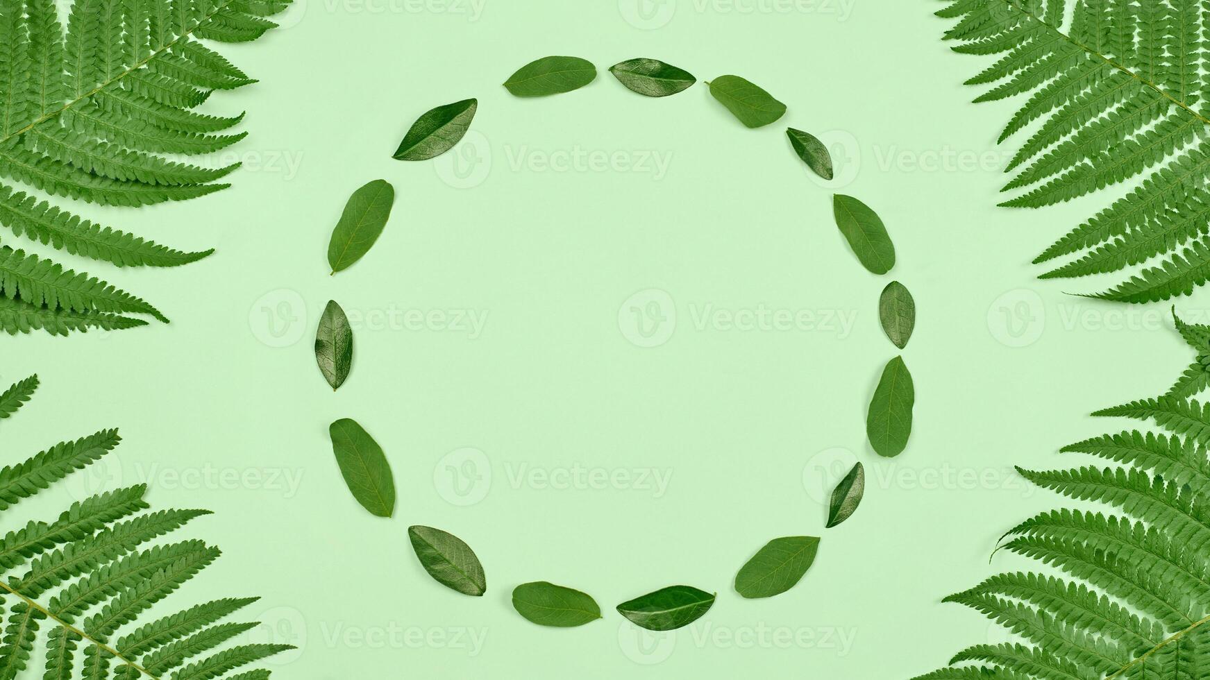 Green leaves circle frame with fern leaves in angles, light green copy space in center, flat lay photo