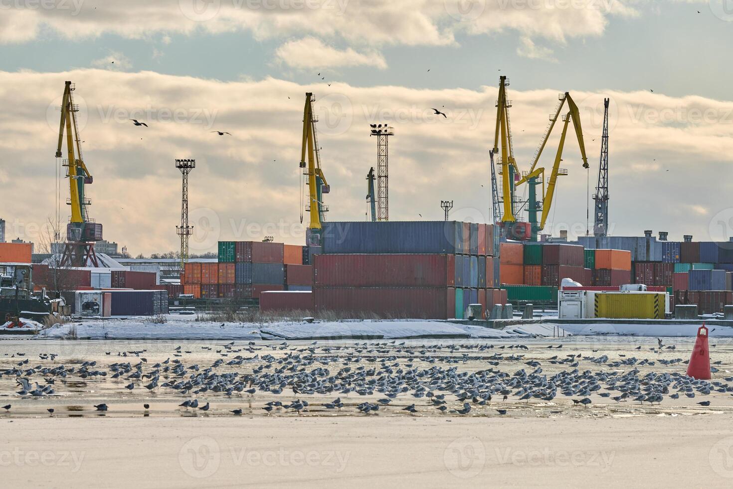 Harbor cranes, container ship terminal, cargo container yard photo