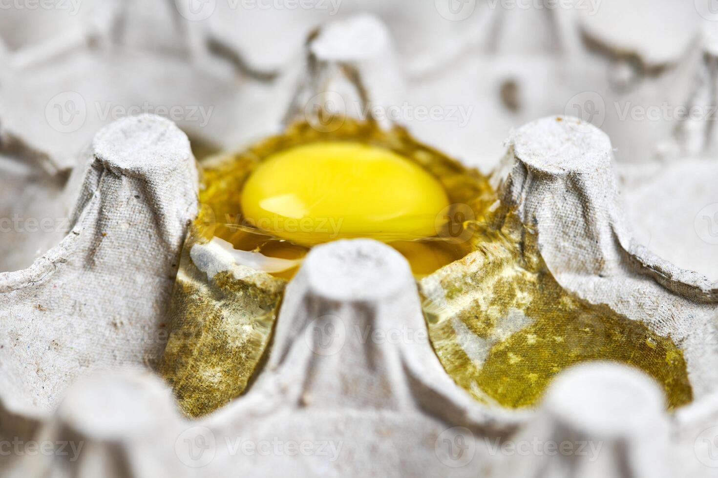 broken egg in paper tray photo