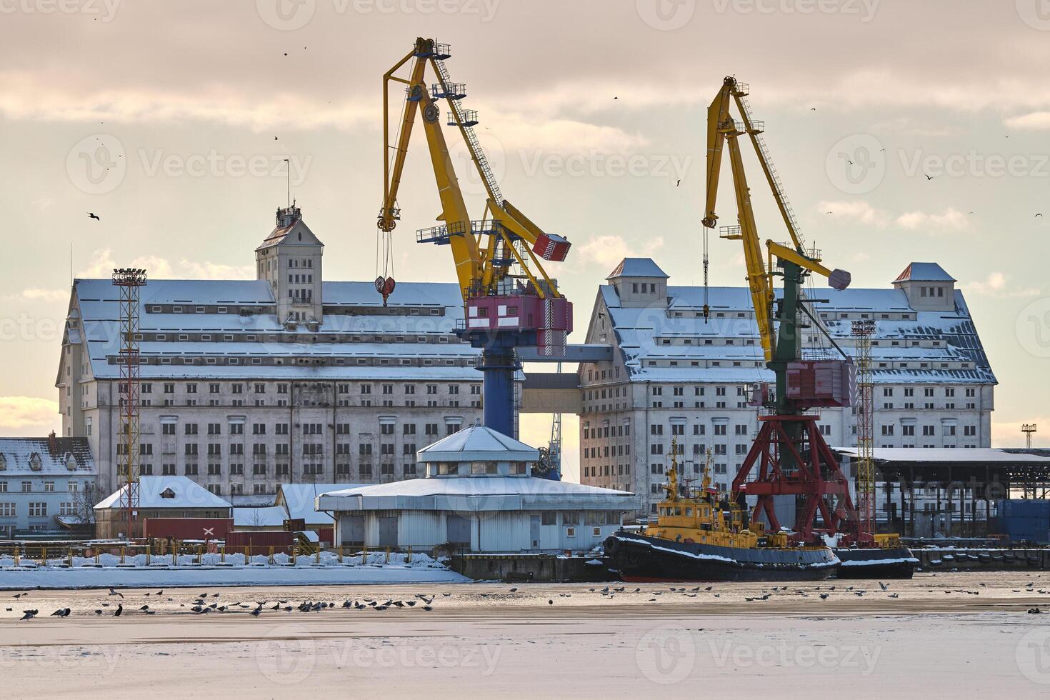 Harbor cranes, container ship terminal, cargo container yard photo