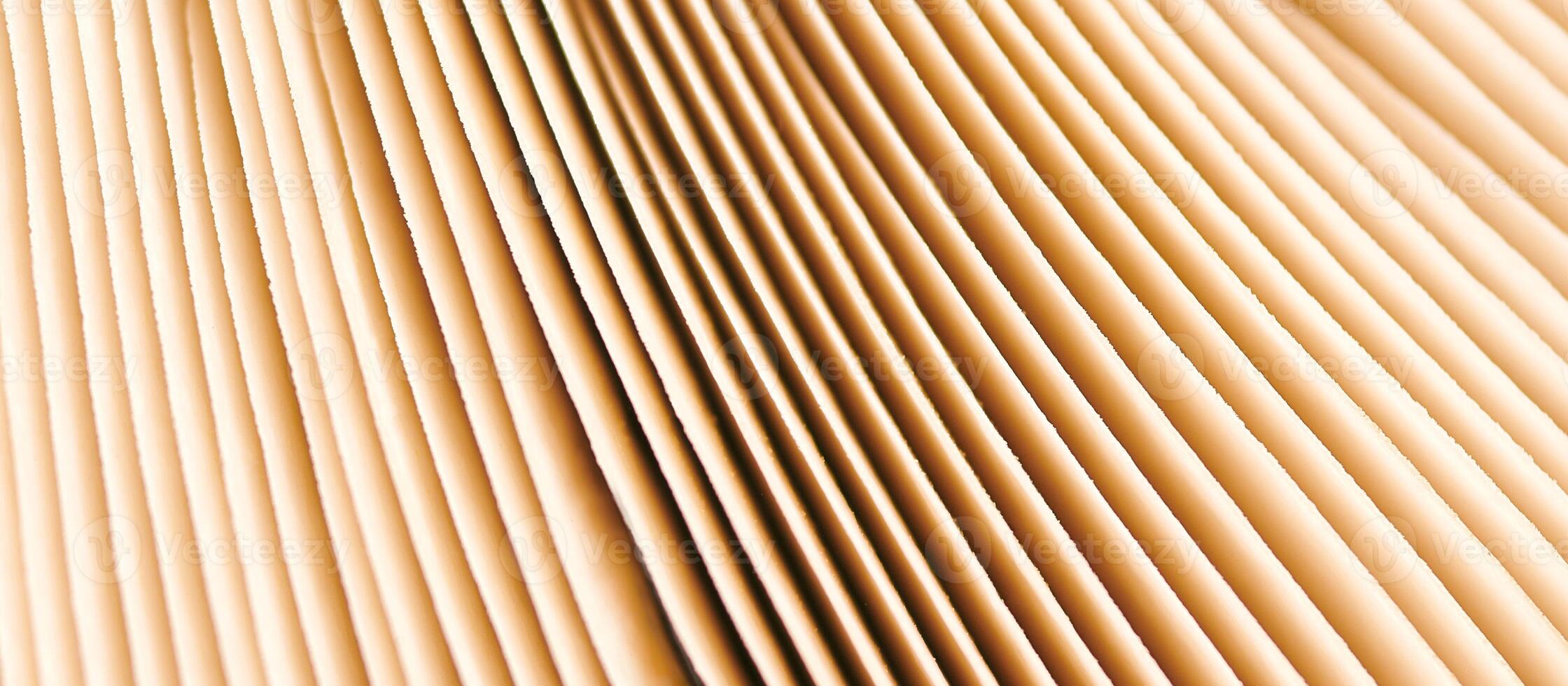 Agaric mushroom gills under cap macro close up photo, depth of field photography photo
