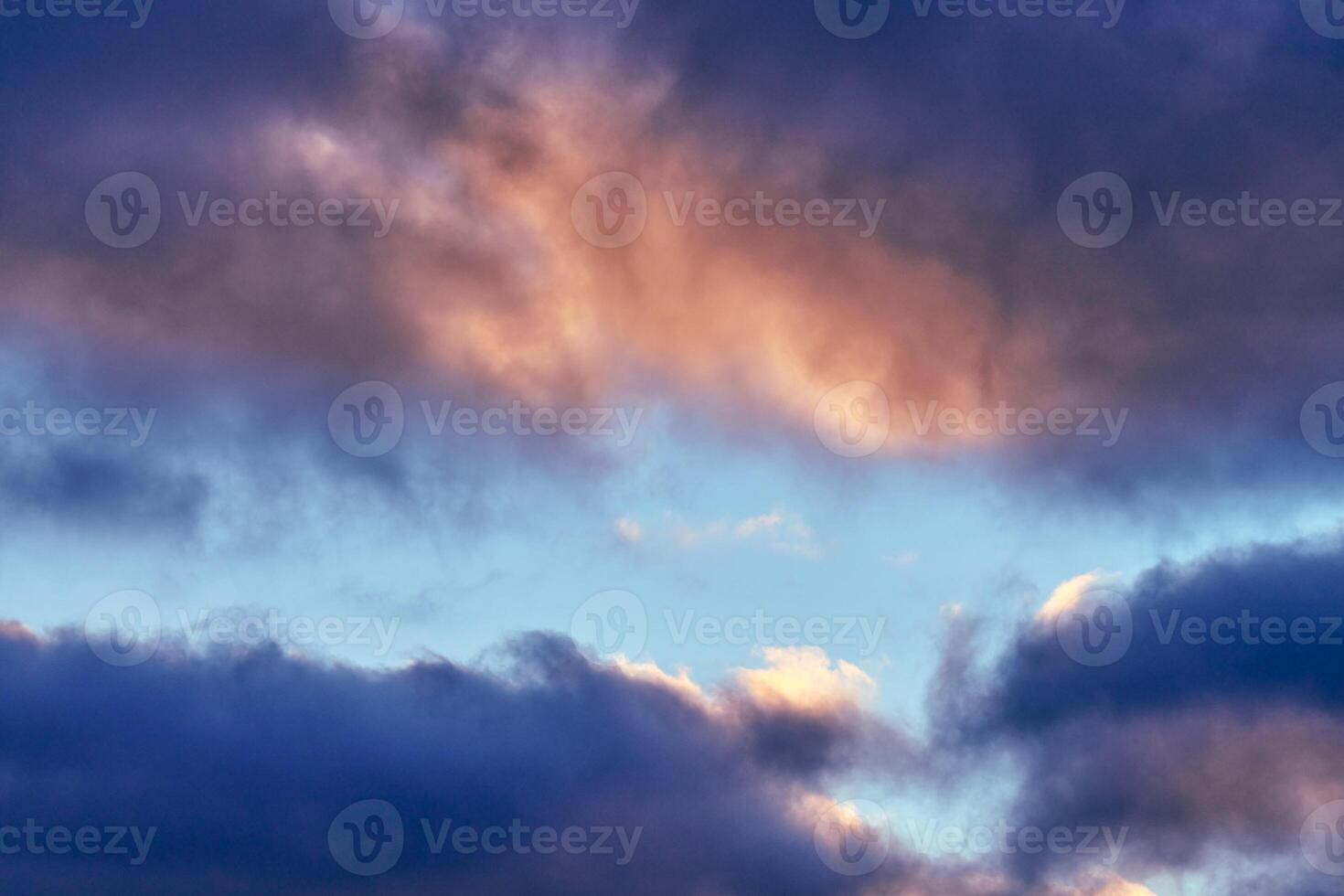 Fluffy cumulus purple and pink clouds, cloudscape photo