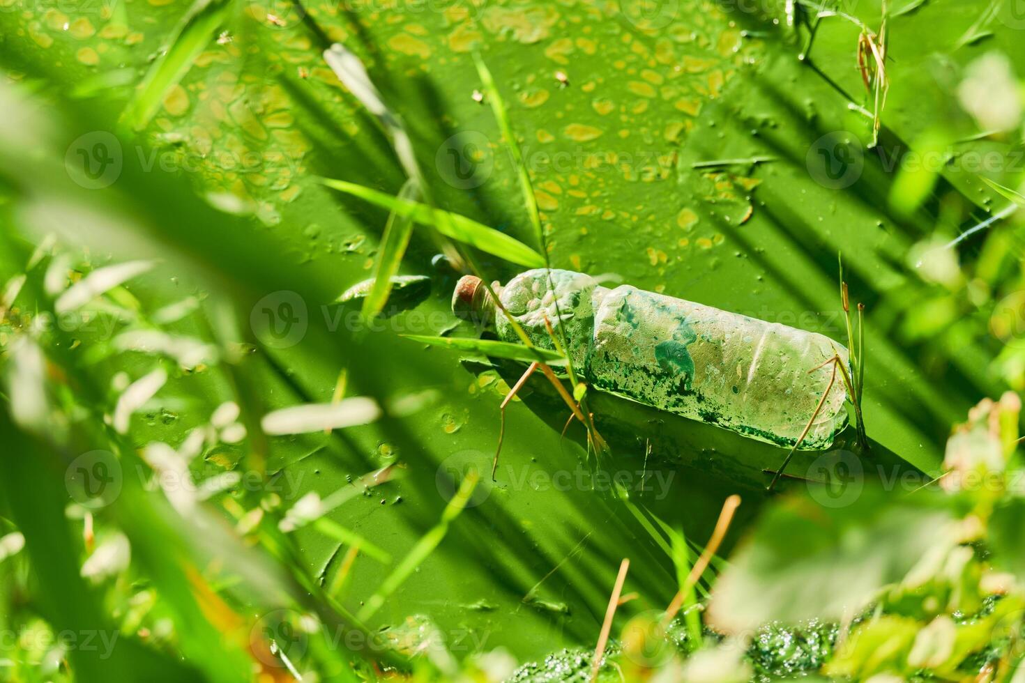 Environmental water pollution photo