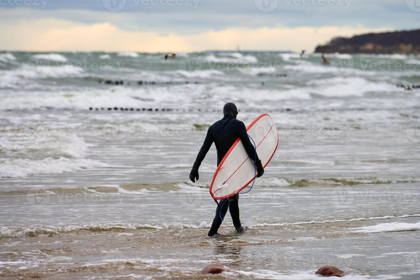 Male surfer in swim suit walking along sea with surfboard photo