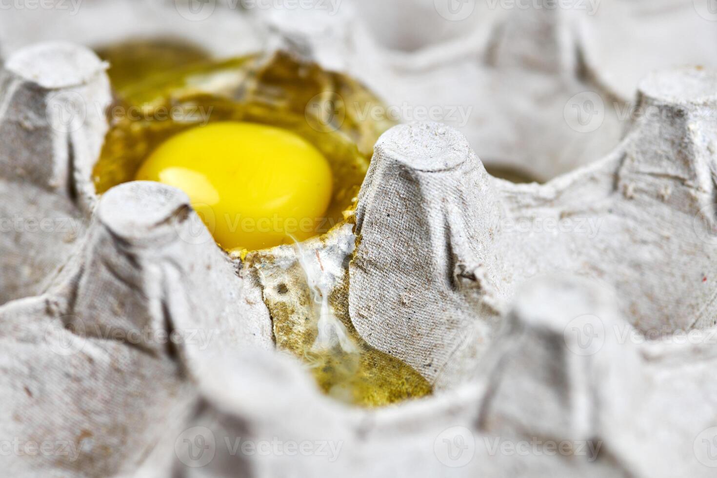 Broken egg in paper egg tray photo