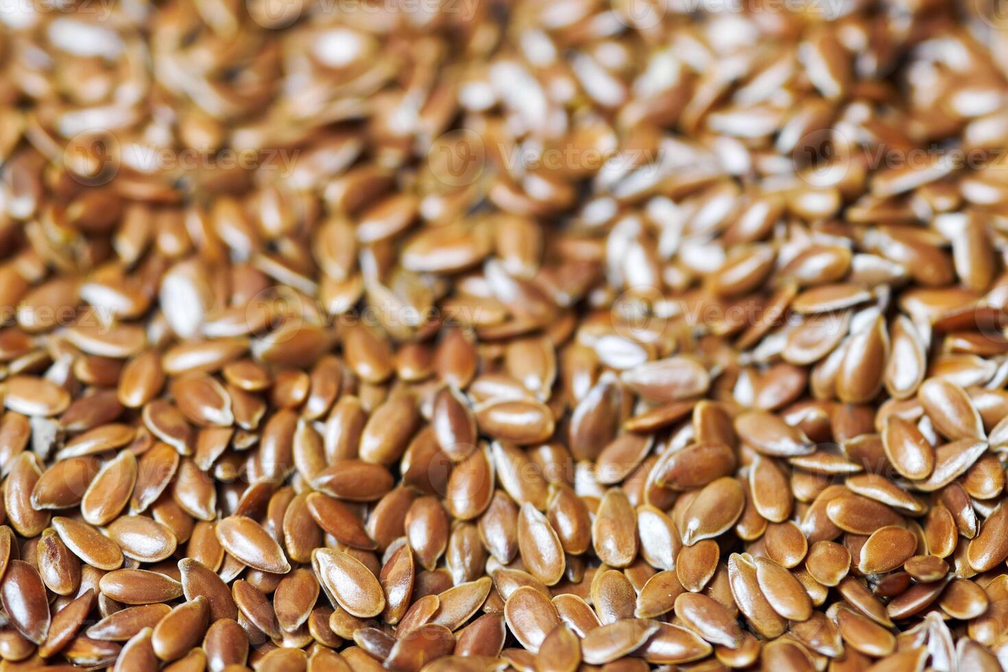 Flaxseed, linseed isolated photo