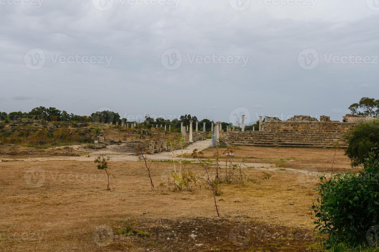 Salamis, Cyprus - April 16, 2024 abandoned excavations in an ancient ruined city, Cyprus. bad attitude towards historical monuments 1 photo
