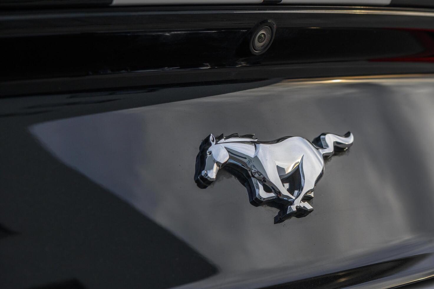 02.29.2024 Gazeveren Cyprus - Ford Mustang emblem on a black trunk lid 6 photo
