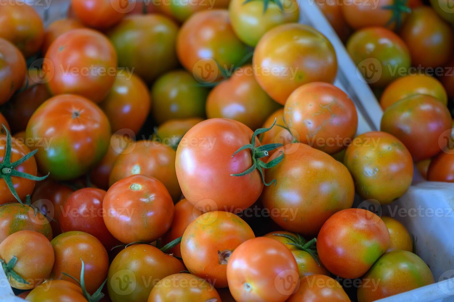 tomatoes in a box in a store in Cyprus 4 photo