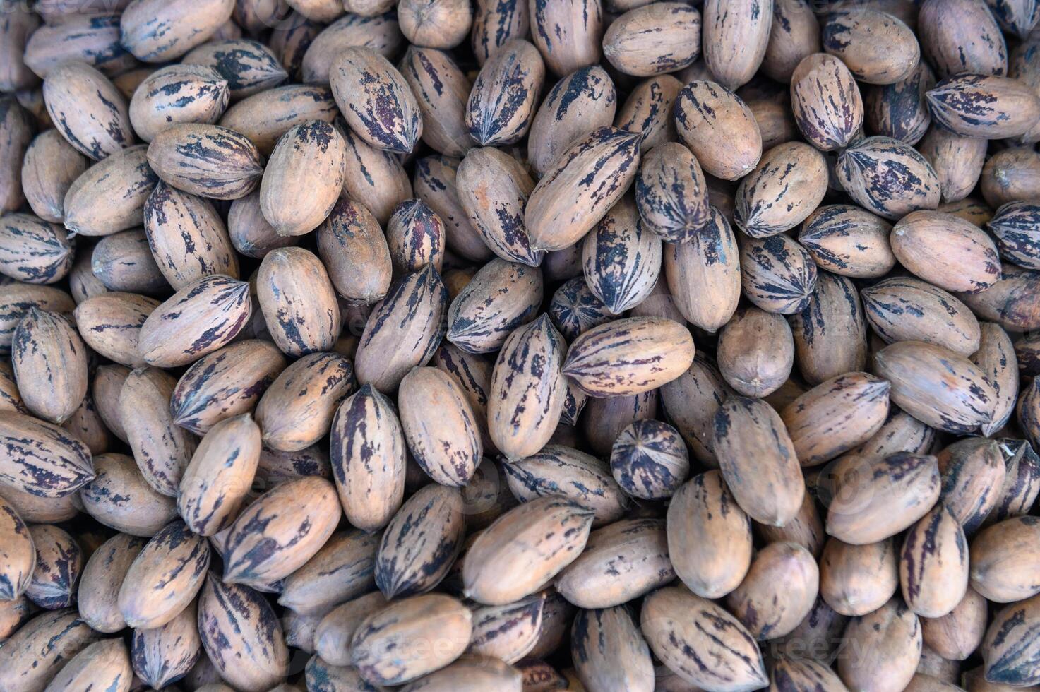 Pecan nuts background, top view. Pecans fruits texture, close-up photo