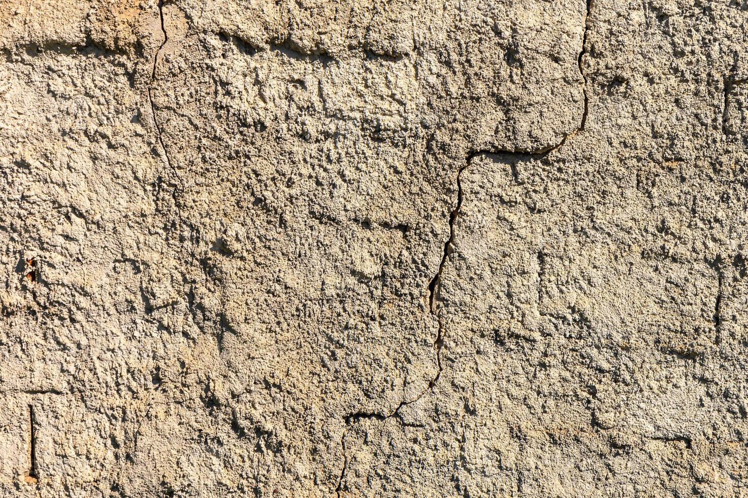 wall of a house with a shaved 4 photo