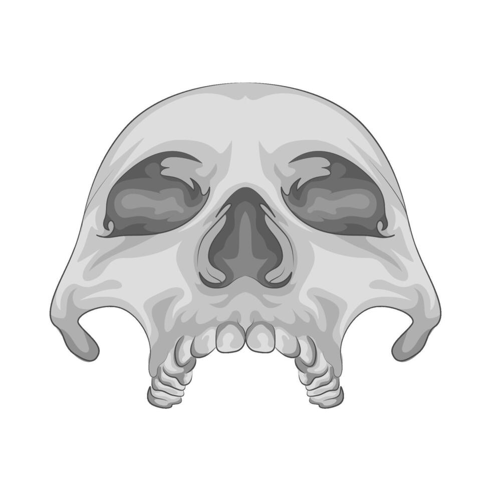 Illustration of skull vector