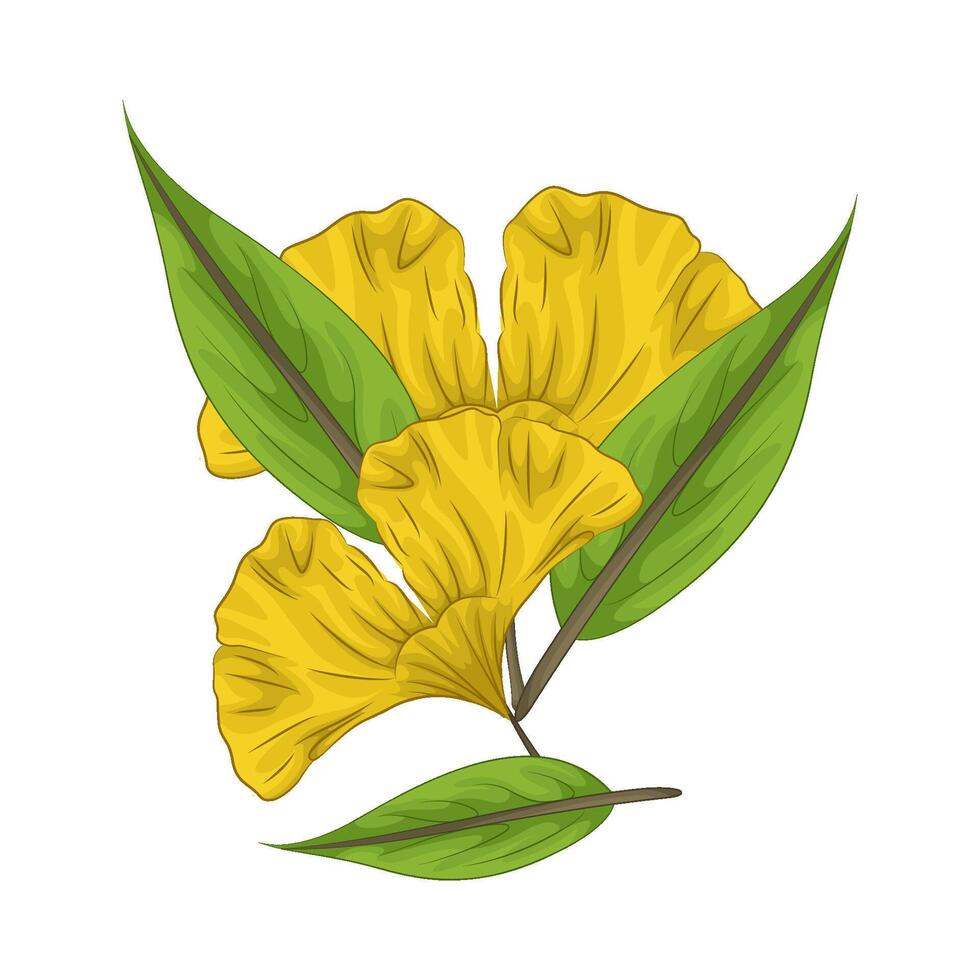 Illustration of leaf vector