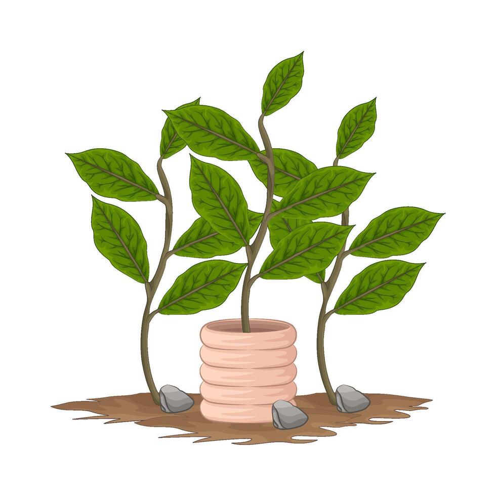 Illustration of plant vector