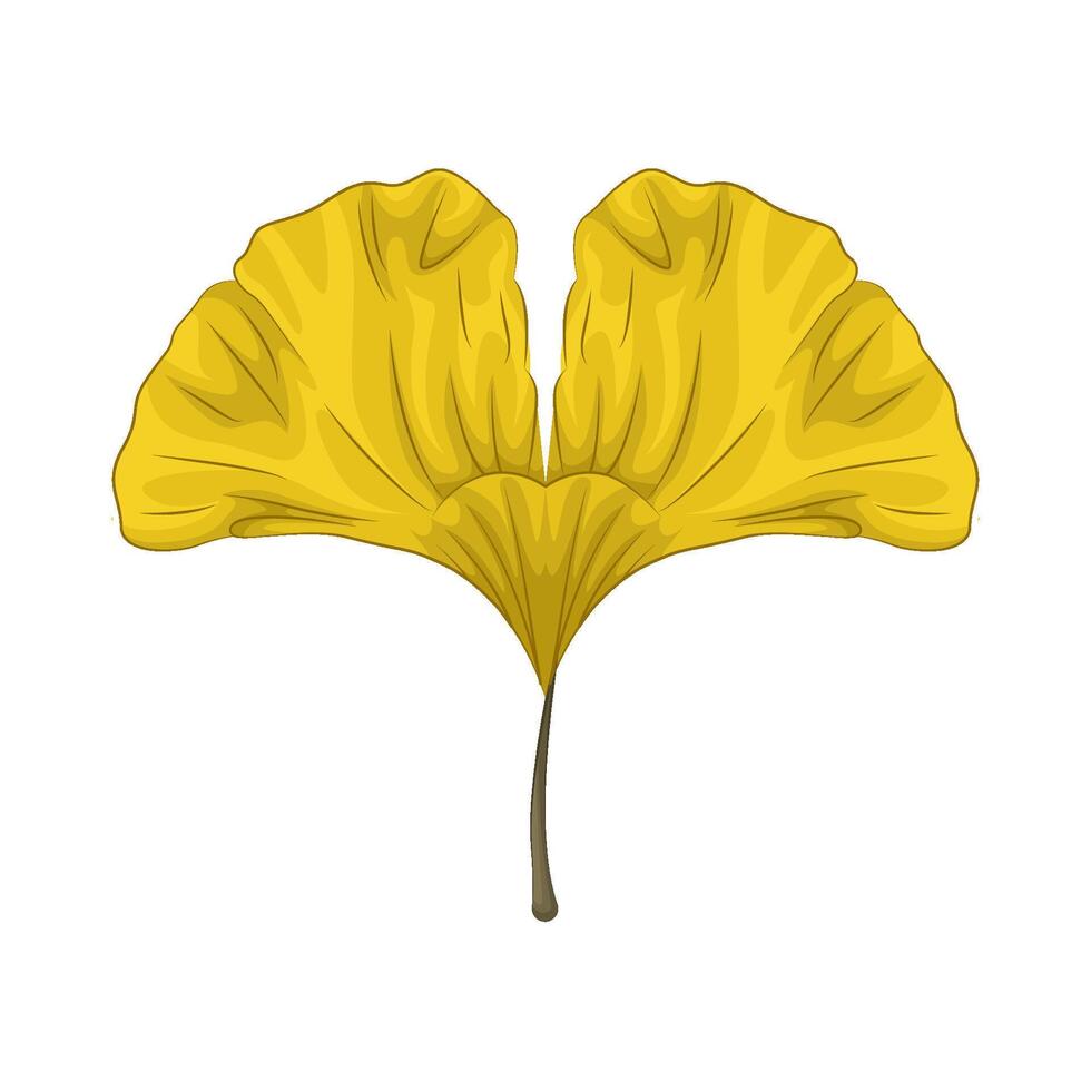 Illustration of leaf vector