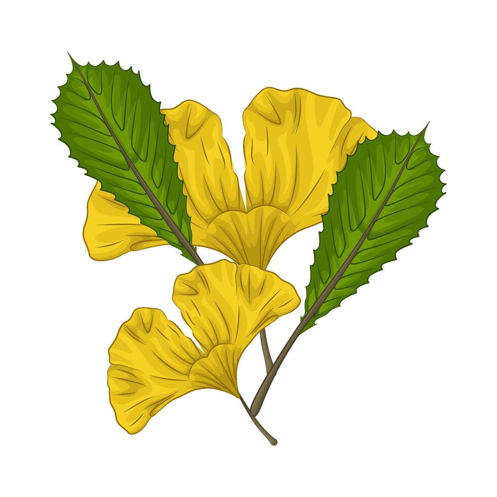 Illustration of leaf vector