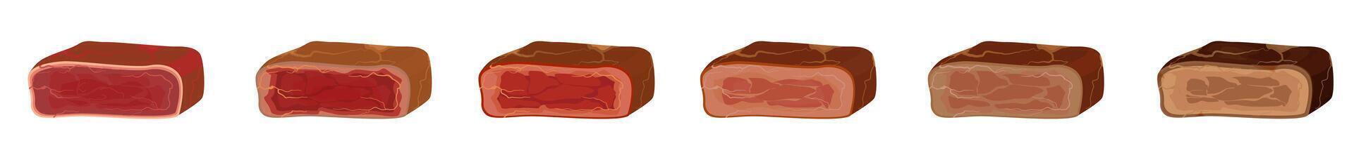 Different colors of grilled steak vector