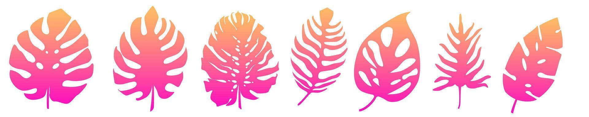 Set of illustration of tropical fern leaves pink gradient. vector