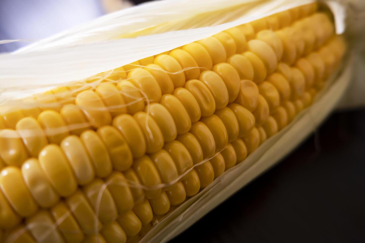 macro shot of raw maize corns and leaves photo