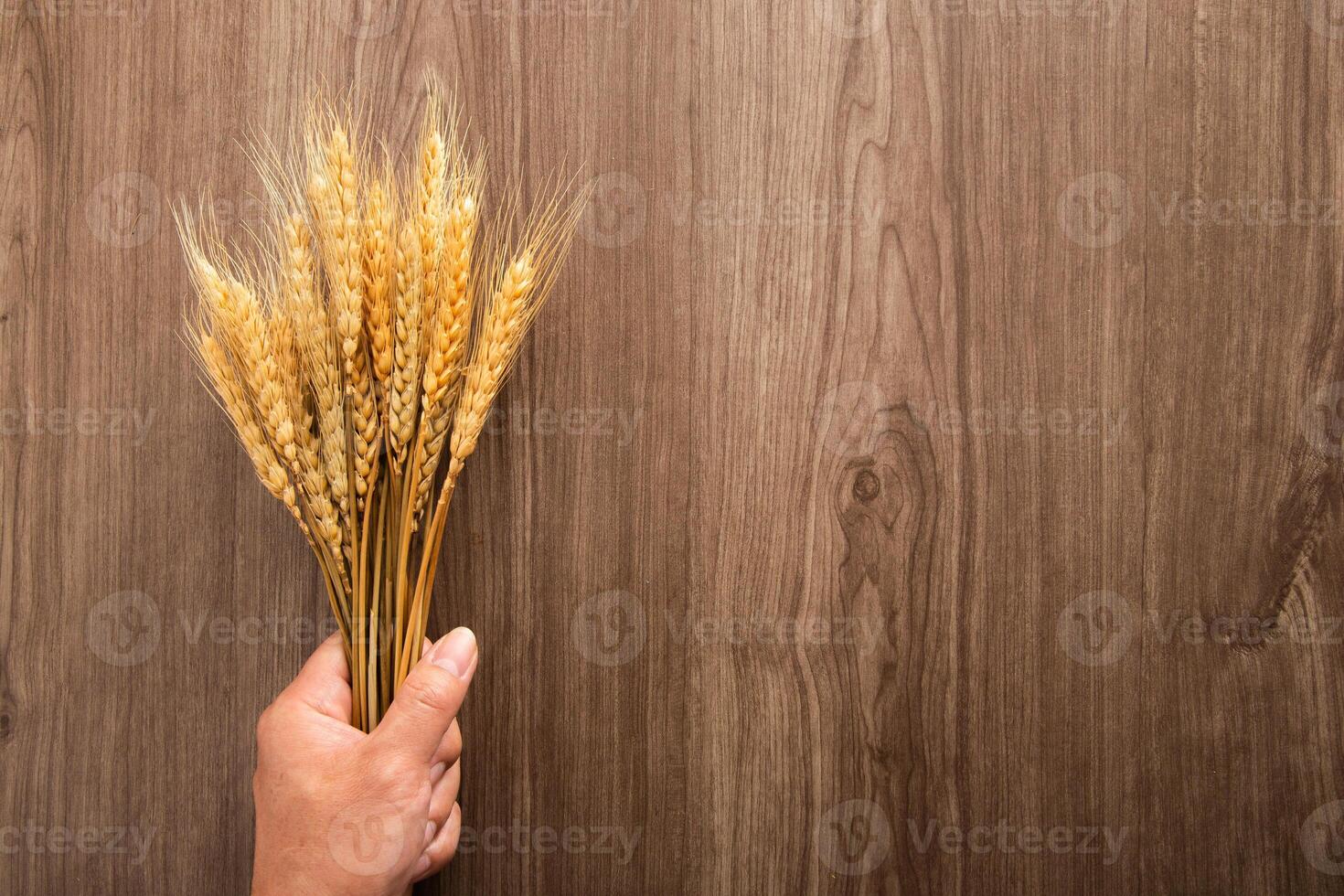 Spikelets of wheat on old wooden table background photo