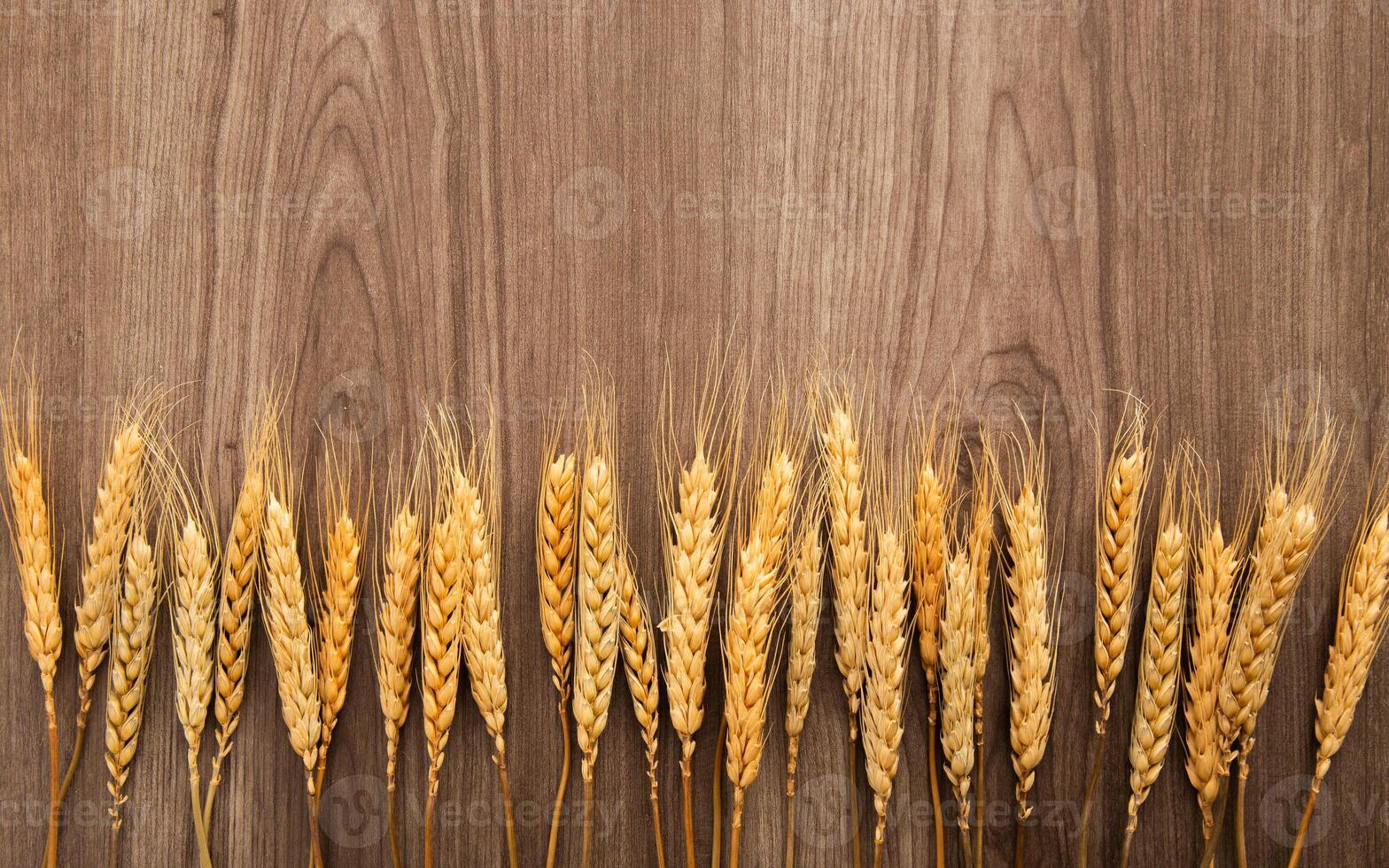 Spikelets of wheat on old wooden table background photo