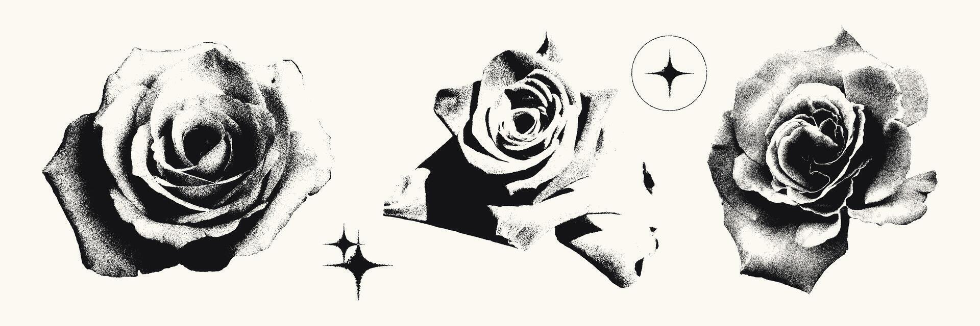 Roses photocopy effect elements set. Flower heads with grunge stippling grain messy texture. Trendy y2k aesthetic illustration. Ideal for poster design, t shirt, tee print, sweatshirt vector