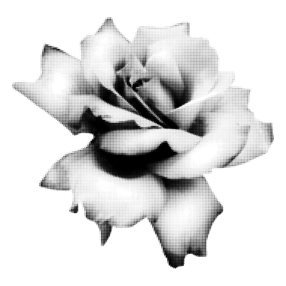 Blooming rose halftone collage element. Vintage punk dotted flower, retro modern floral clip art for mixed media design. illustration isolated on transparent background vector