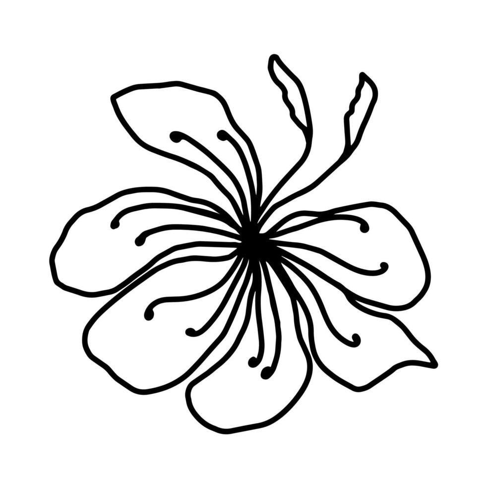 Flower one line art, minimalist contour hand drawing vector