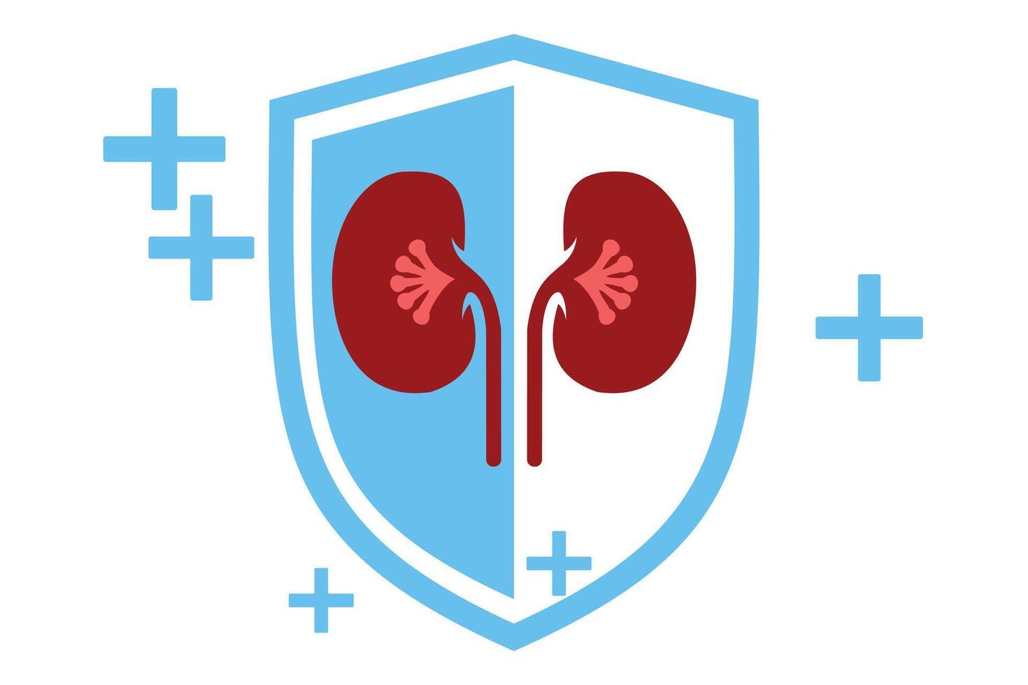 Human kidney set design vector