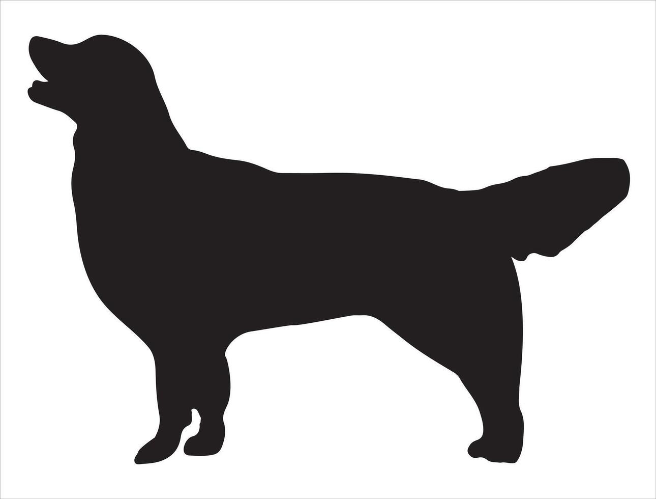 Golden retriever silhouette on white background vector