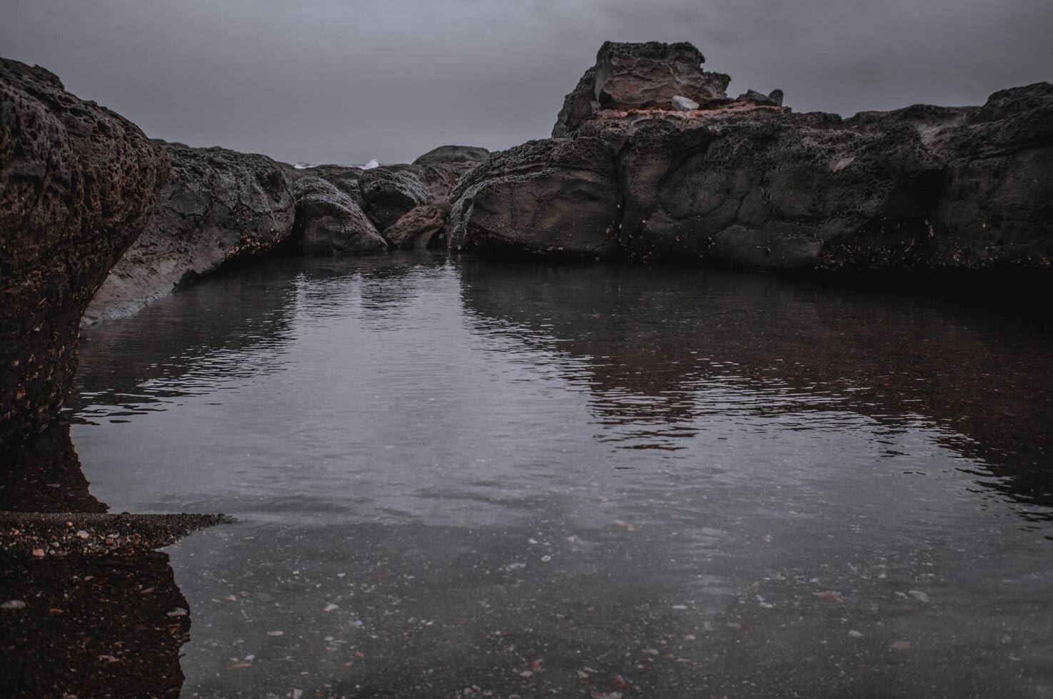 coral on the coast with calm water photo
