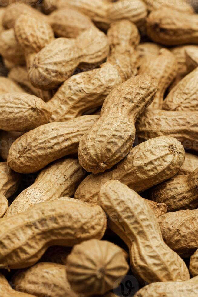 Peanut in a shell texture. Food background of peanuts. Close up. Macro photo
