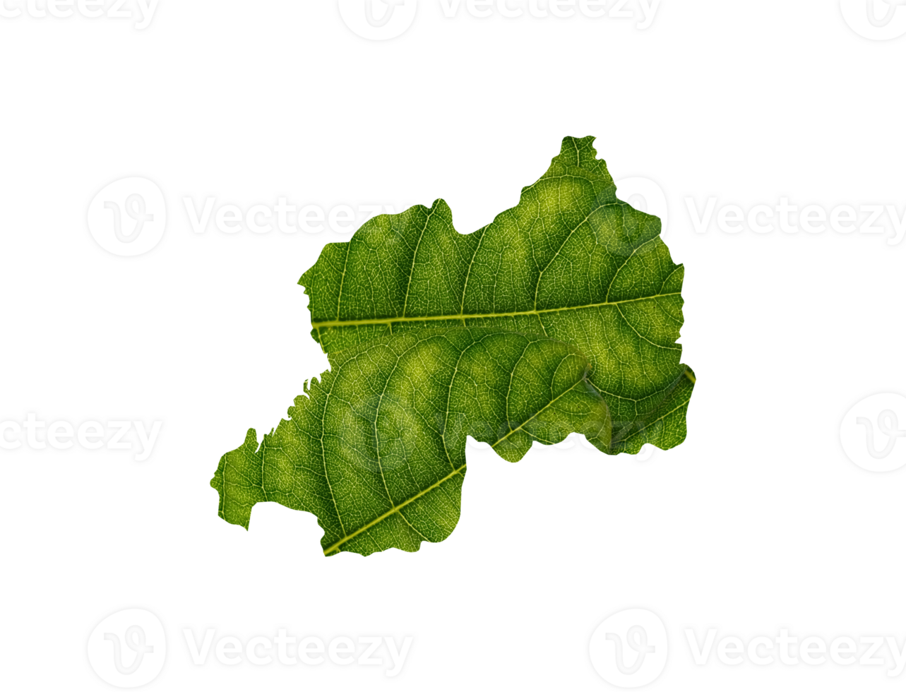 Rwanda map made of green leaves ecology concept png