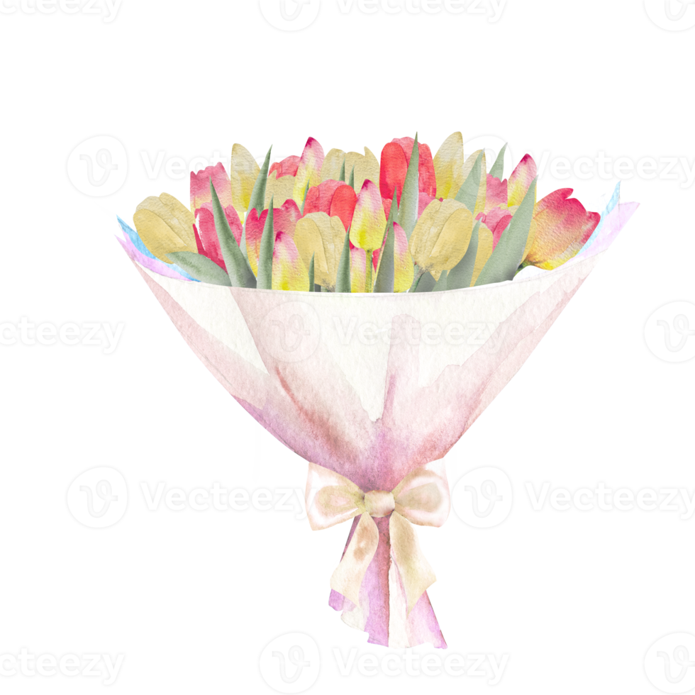 Watercolor illustration of a bouquet of colorful tulips. Bouquet of handmade tulips. Spring greeting card concept. png