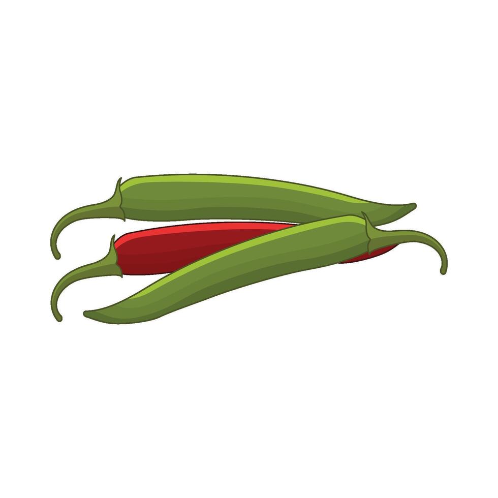 illustration of chili vector