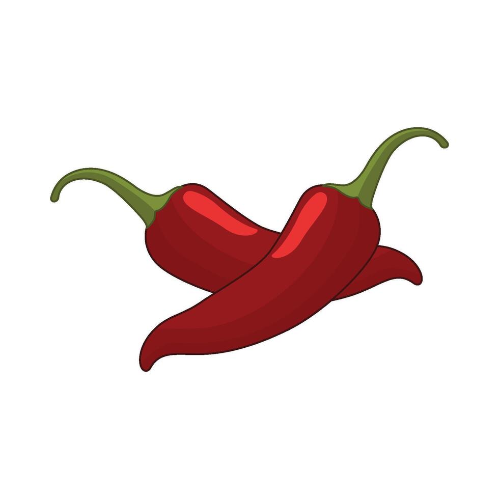illustration of chili vector