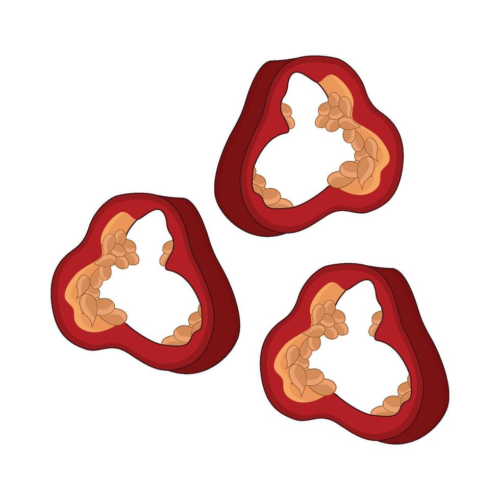 illustration of chili slice vector