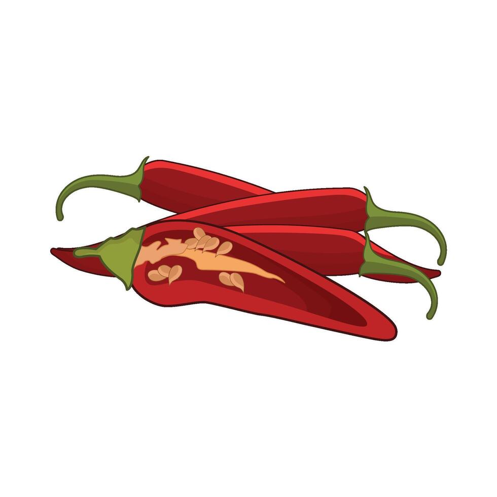illustration of chili vector