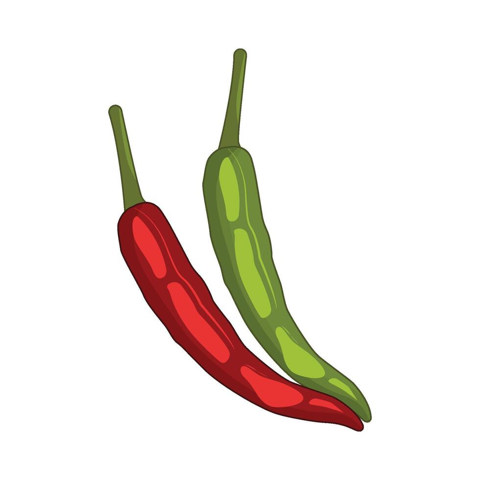 illustration of chili vector