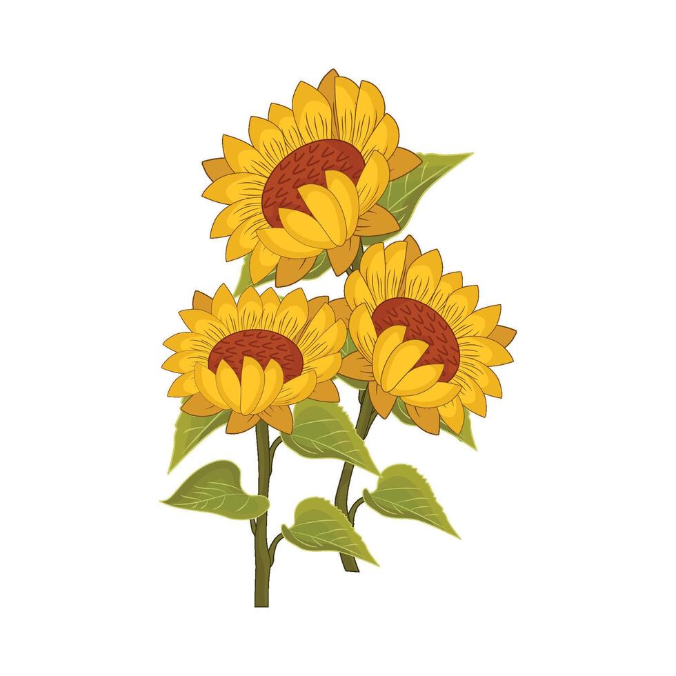 illustration of sunflower vector