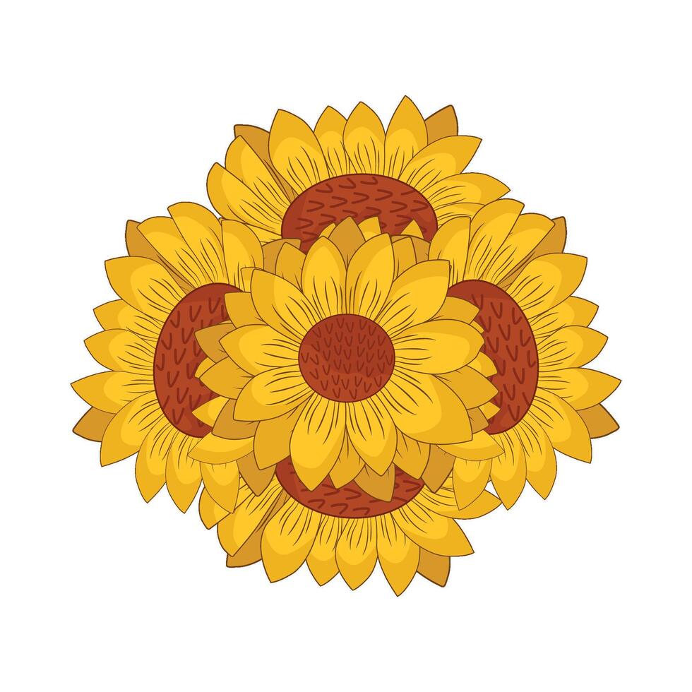 illustration of sunflower vector